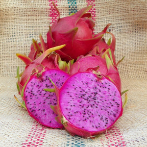 Dragon Fruit ‘Physical Graffiti’